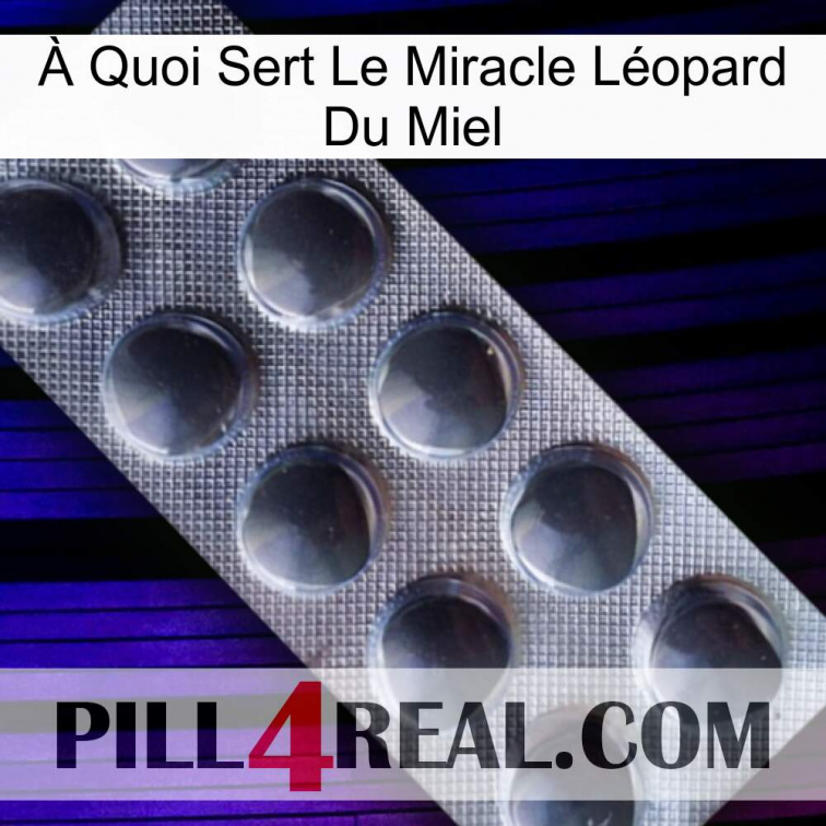 À Quoi Sert Le Miracle Léopard Du Miel 30